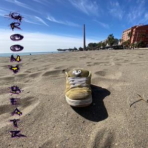 The 1st Rays Of Sunshine