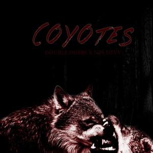 Coyotes