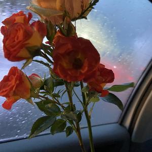 拍档（Prod By Ljx Ghost）