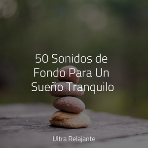 Misterio Al Descubierto