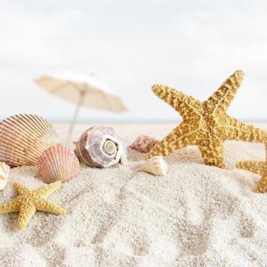 归去来（feat碳烤石墨）（翻自 群星）