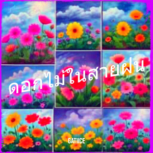 ดอกไม้ในสายฝน
