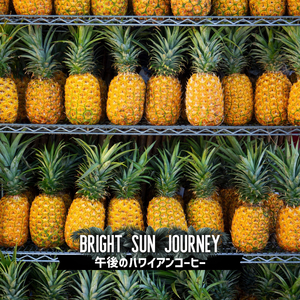 The Rainbow of the Sun