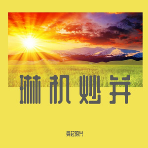 炒并 (4）
