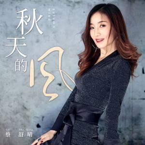 秋天的风(DJ阿远版)