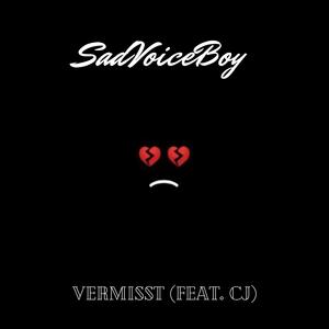 Vermisst (feat. CJ)