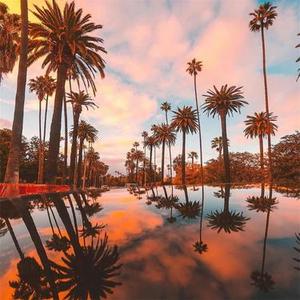 音乐一响纯爱登场