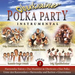 Lustige Oberkrainer-Polka (Radio Version)