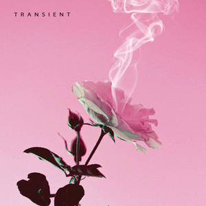 Transient