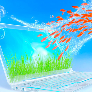 liquid dawn matrices