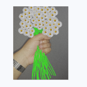 我的宝贝(抖音热版)（翻自 范文夺）