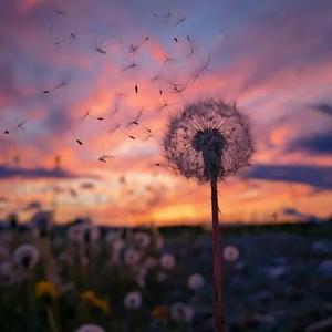 FELL DOWN  (起势模式，请确定)