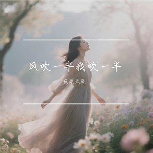 风吹一半我吹一半 伴奏