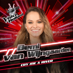 Cry Me A River (The Voice Of Holland Season 8)