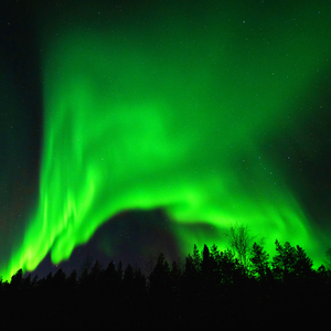 Dinner Grind Secular