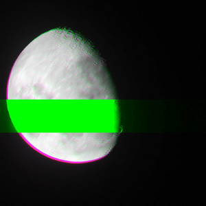 Please Water My Plants While I'm Gone