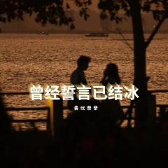 曾经誓言已结冰
