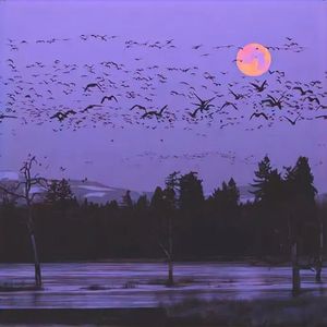 暮色回响（女声完整版）