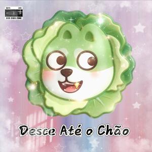 Desce Até o Chão Redio