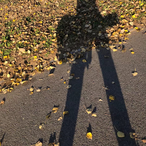 安和桥（吉他版间奏）