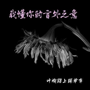 我懂你的言外之意