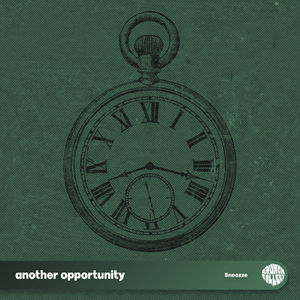 another opportunity