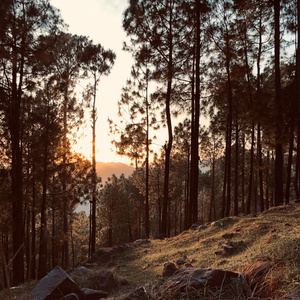 Spancil Hill (Acoustic Version)