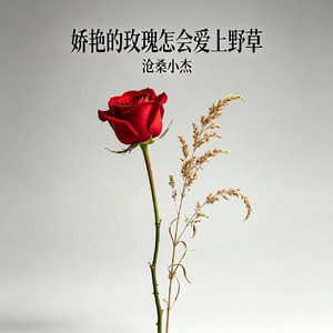 娇艳的玫瑰怎会爱上野草