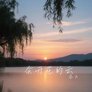 会开花的云 (Cover 周深深)