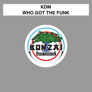 Who Got The Funk (Original Mix)
