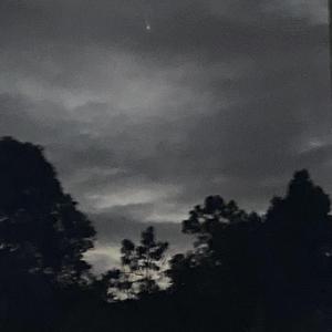 一滴泪的时间