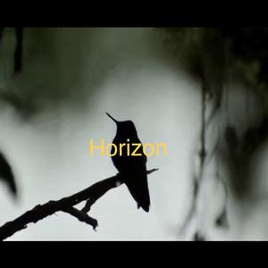 Horizon