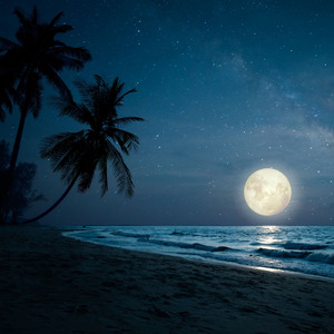 月の光に包まれて