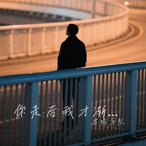你走后我才渐渐明白