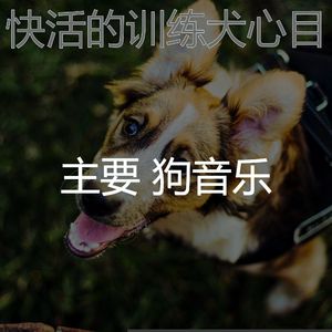 有趣训练犬情怀