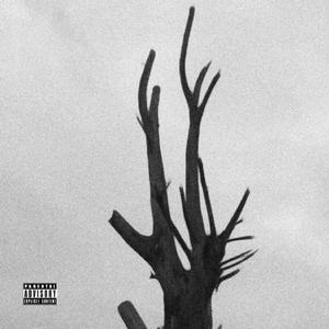 Back 2 Back (feat. Jabulani Cindi) (Deluxe )