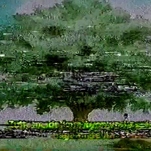 ░░_Ｓｐｒｉｎｇｔｉｍｅ  Ｓｔｒｏｌｌ_Westminster Quarters =Ⓣɪᴍᴇ ➋ Ⓜᴇᴇᴛ