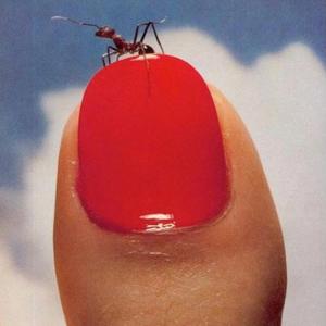 moderation is better for us