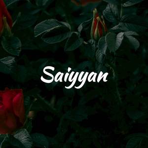 Saiyyan