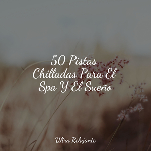 Niebla De Enfriamiento