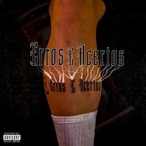 Erros E Acertos (feat. FleXx & Six9)