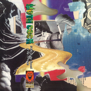 The Haggard Gaze of the Caged