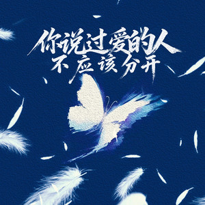 你说过爱的人不应该分开