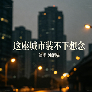 这座城市装不下想念