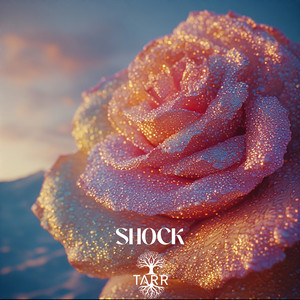 Shock (Original Mix)