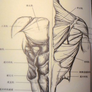 切尔诺贝利（翻自 陈芷粤）