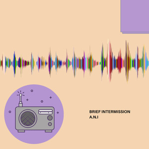 S.D.S (Radio Interlude)