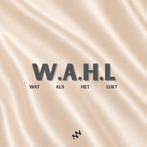 Wat Als Het Lukt (feat. Sonar)