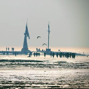 Shlok