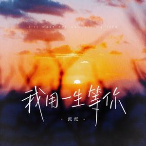 我用一生等你